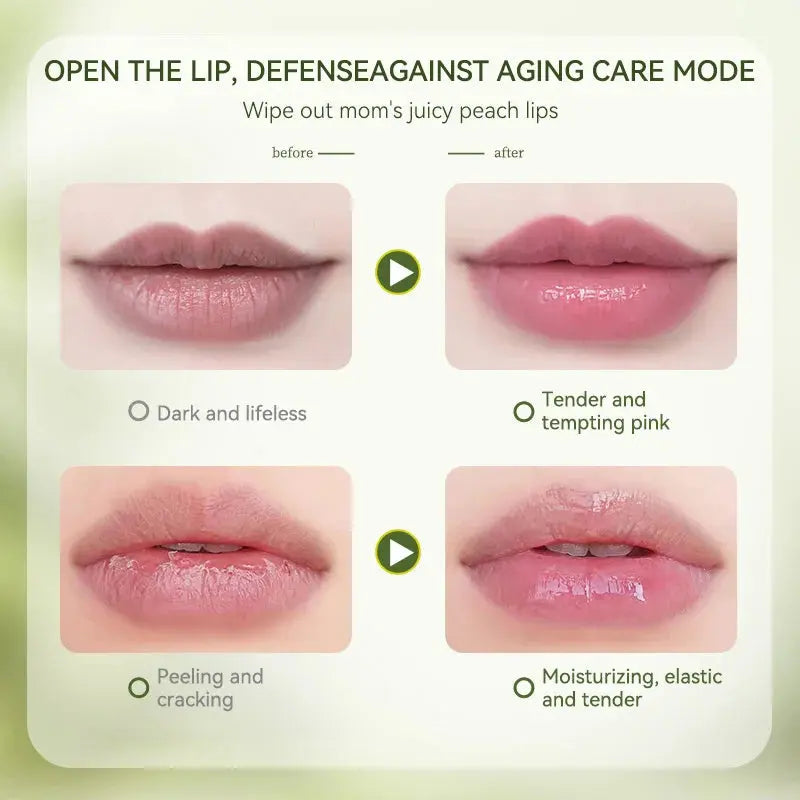 Gardenia Blossom Essense Vaseline Lip Gloss High Class Cosmetics