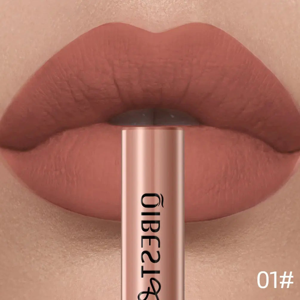 QIBEST Matte Liquid Lipstick Waterproof Long Lasting Velvet Lip Gloss Tint Tube Matte Nude Pigment Red Lipgloss Lips Makeup High Class Cosmetics